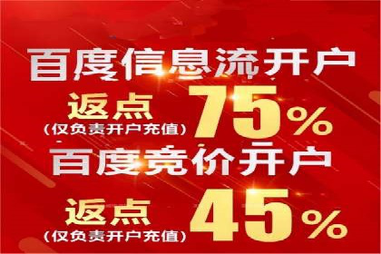 成功SEM推广代运营案例分享